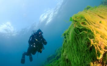 Фотография местности