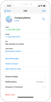Chat setup illustration
